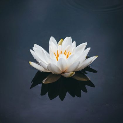 nong-v-Hqa-Ymae0k0-unsplash